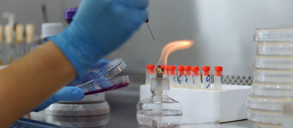 Fire Prevention Is Our Intention: A Guide to Storing Hazardous Materials Safely