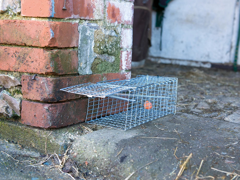 Fixman Rat Cage Trap