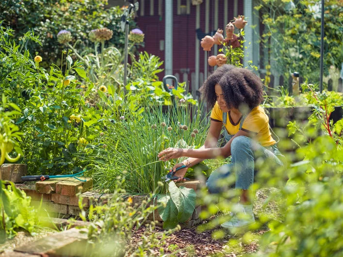 Gardena ExpertCut secateur