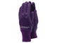 Town & Country Master Gardener Ladies' Gloves