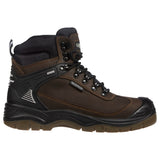 Apache RANGER BROWN