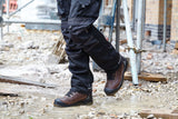 Apache RANGER BROWN