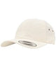 Flexfit By Yupoong Low-Profile Water-Repellent Cap (6245Wr)